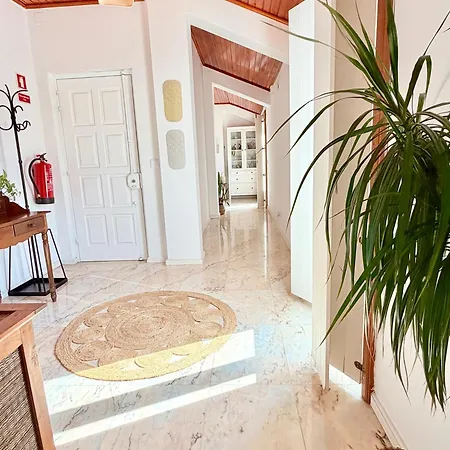Casa Avo Nino 아파트 *